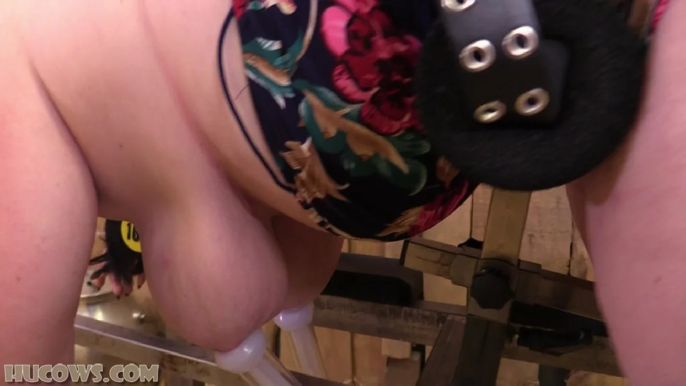 Samantha Kiss New Bbw Hucow XXX